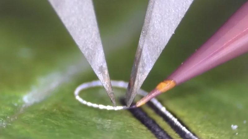 Інженери створили прилад, що дозволяє наносити електронні компоненти на живі тканини та медичні імпланти без пошкоджень