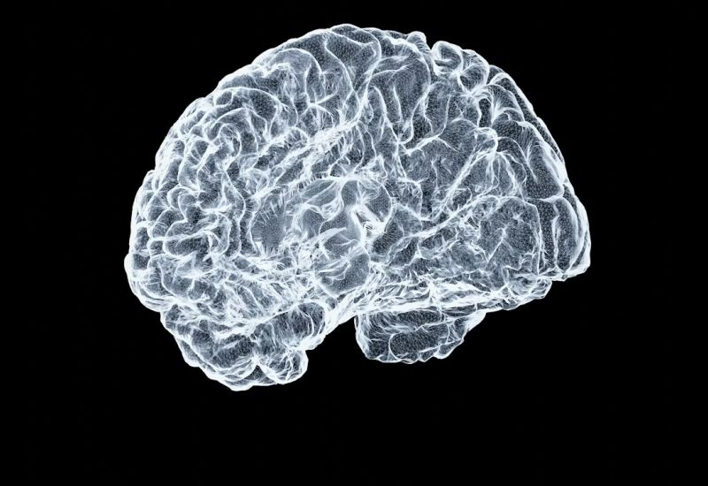 Китайські мозкові імпланти відстають від американського Neuralink майже на три роки